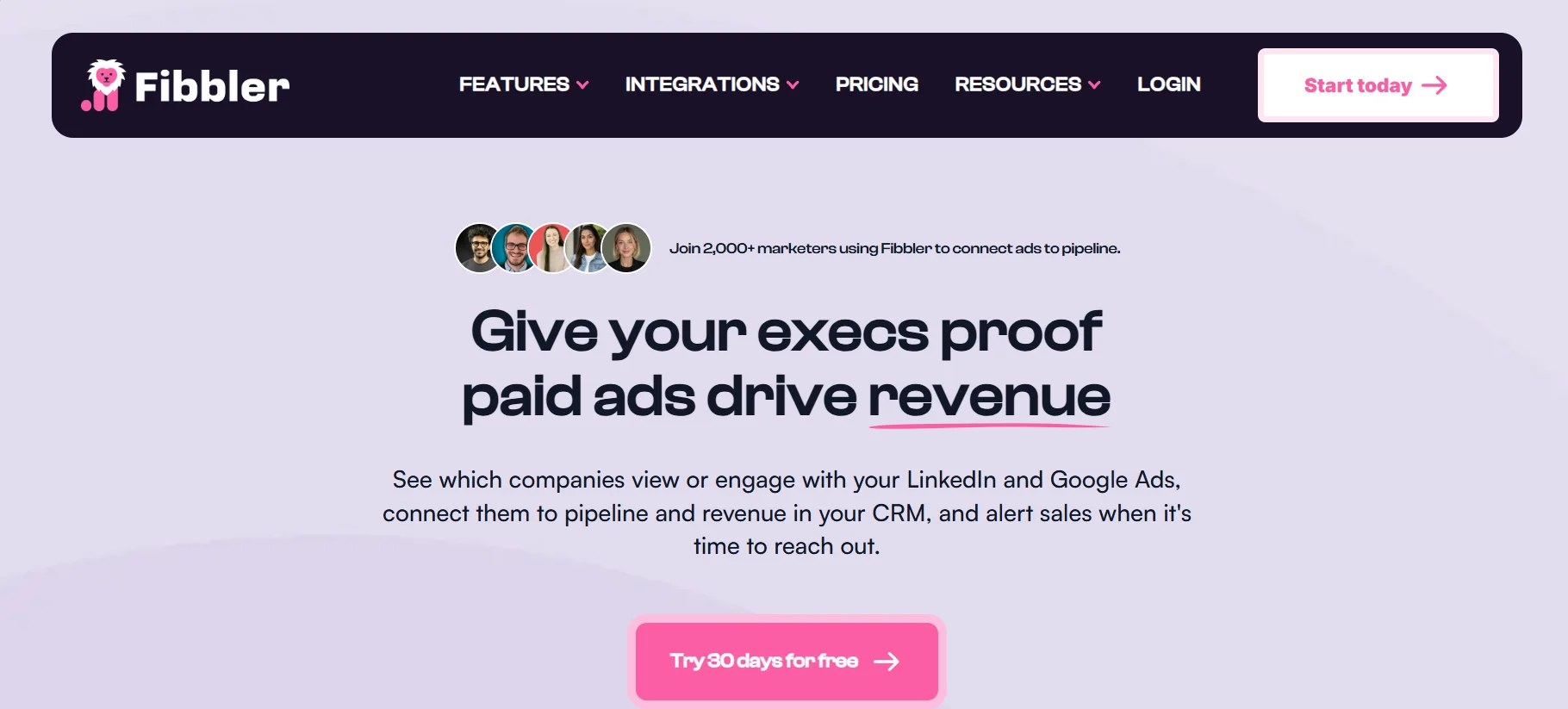 Fibbler ads attribution dashboard